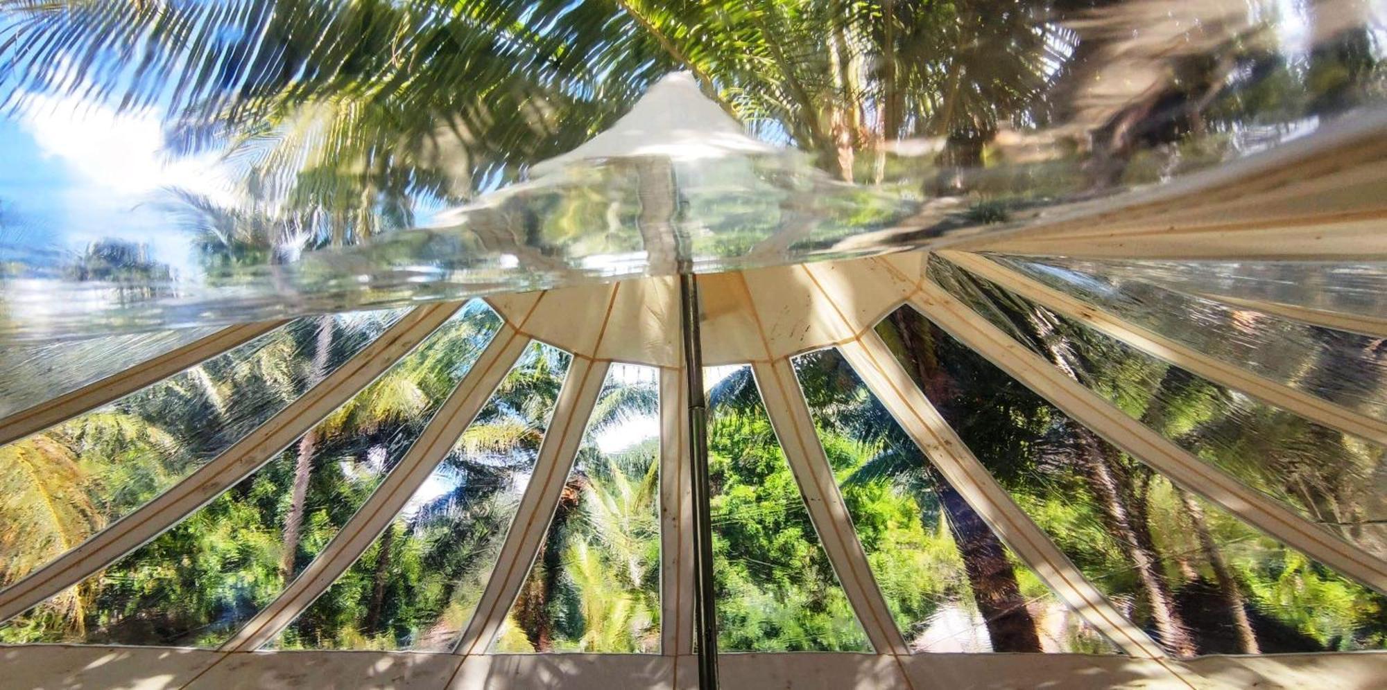 Firesky Glamping Ocam Ocam Beach New Busuanga Buitenkant foto